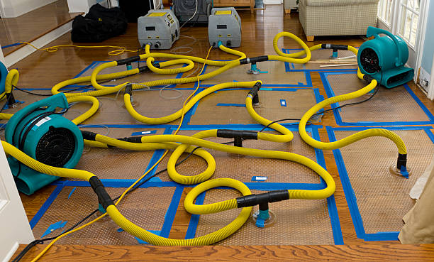 Professional Basement Flood Cleanup technician working in Elkton, TN